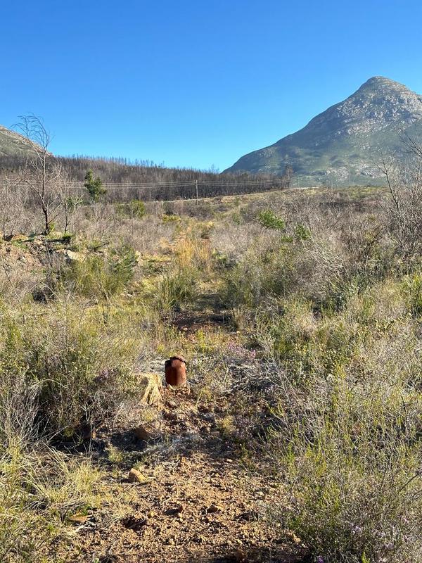 0 Bedroom Property for Sale in Kareedouw Eastern Cape